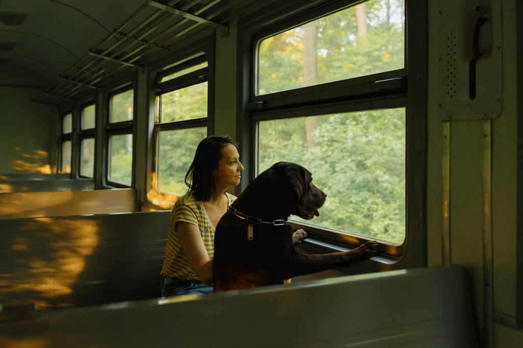 Viajar con mascotas en tren