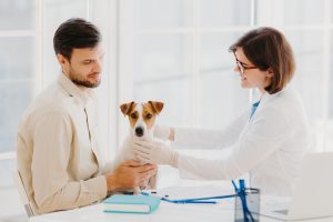 coberturas imprescindibles en el seguro de mascotas